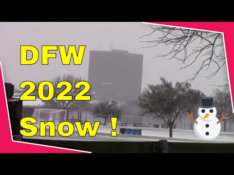 Dallas Winter Storm 2/3/2022 Snow Sleet Ice Cold DFW TX Seasonal Garden Update Channel James Plosko