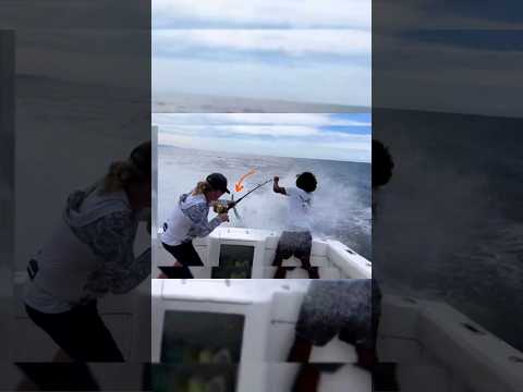 Never Let Your Guard down, When Fishing for a 🦈🎣 #blackmarlin  #shorts #fishingshorts #fishinggear