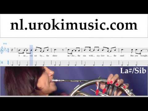 Hoornles Miley Cyrus - Malibu Muzieknoten Cursus Deel#2 um-i374