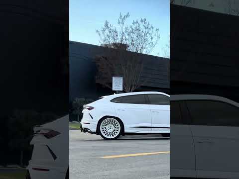 Lamborghini Urus wrapped satin white + lowered and fitted with MV Forged wheels at SSR Performance