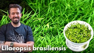 Miniatura filmu z YouTube