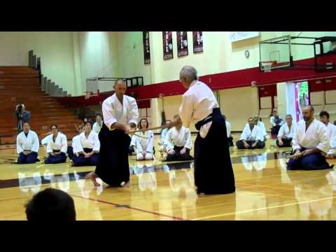 Chiba Sensei: Bokken encounter