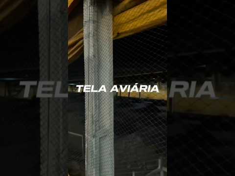 V&iacute;deo 5