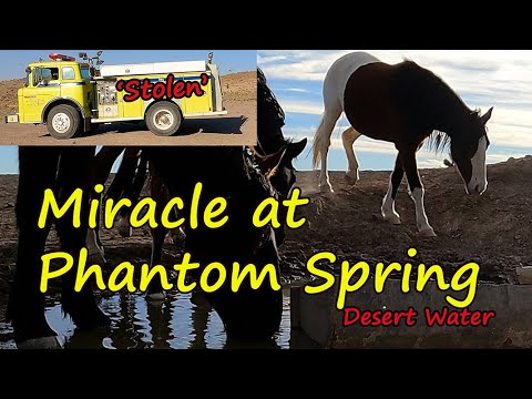 2 Months of Failure Then a MIRACLE! Hoof Cam Captures 6 Wild Mustangs at Desert Water Phantom Spring