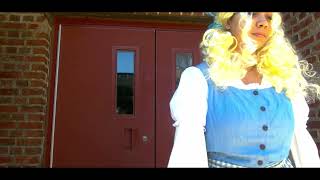 MetaSource Video