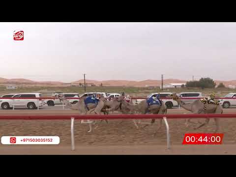  ش 3 (غايه) لـ سعيد محمد بن قعرور 2:14 , شارة الصندوق 2026/04/11 فطامين الساد