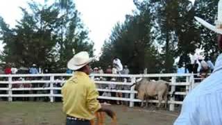 preview picture of video 'San Miguel Magdalena Jaltepec Jaripeo'