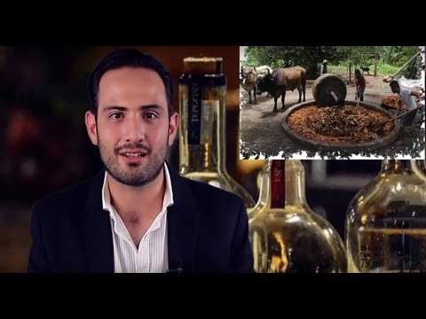download lagu mp3 mp4 Mezcales, download lagu Mezcales gratis, unduh video klip Mezcales