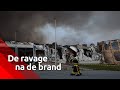 Bij daglicht is de enorme ravage te zien die de vlammenzee op industrieterrein Kraaiven in Tilbur...