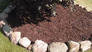 Crimson Maple Makeover