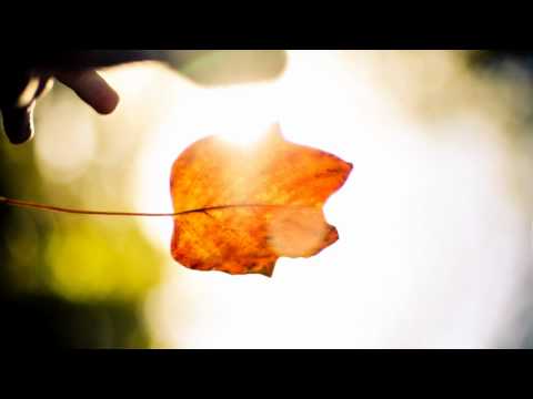 Hildegard von Bingen - Ave, Maria, o auctrix vitae (Instr.) (Live)