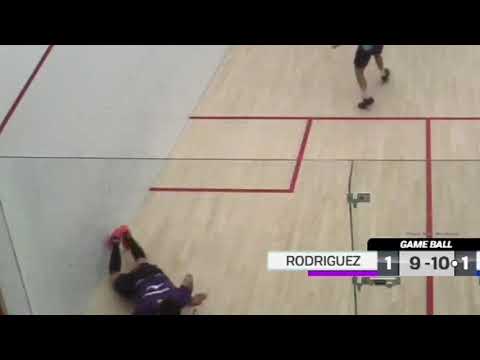 SQUASH. Great dive by Miguel Rodriguez wasn't enough | CIB Egyptian Open