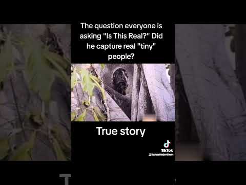 Guy is Doing A Live Show And Catches Tiny Tree People living in his tree. #new #news #viral #tree