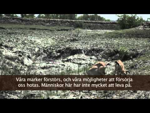 I grumliga vatten - Naturskyddsföreningen