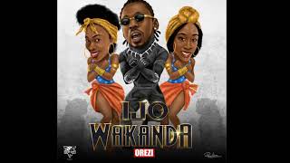 Ijo Wakanda Music Video