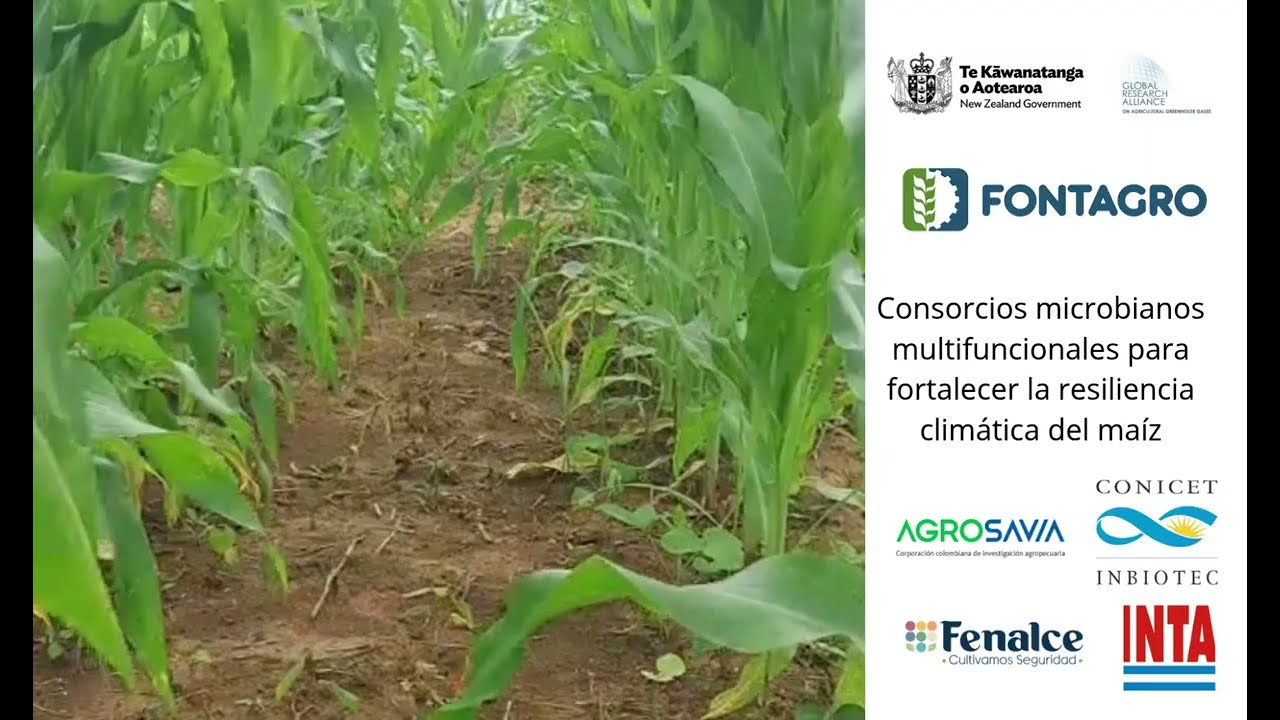Aprovechamiento de bioproductos para fortalecer la resiliencia climática