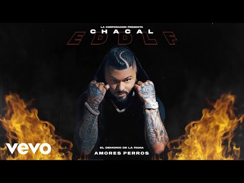 Chacal - AMORES PERROS [Cover Video] ft. El Uniko