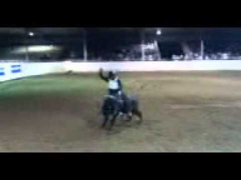 Randal watson @judd's bullriding buckeye
