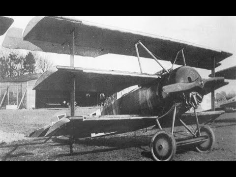 Fokker DR.1 scale 1/32  Roden  601 (этапы сборки, assembly steps)