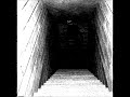 Vita Carnis Elder Mimic Spoted In A Basement