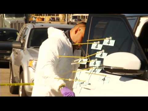 Foxy Brown Brother Schriff O Williams Shot Dead! -- HipHopNews24-7.com