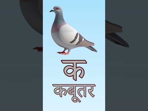 Hindi Vyanjan | हिंदी व्यंजन (क–ज्ञ) | Learn Hindi Consonants for Kids