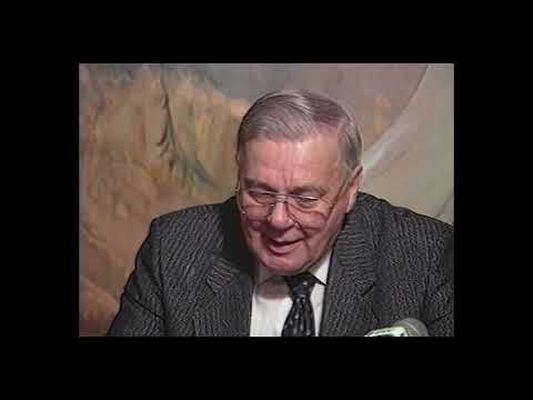 Lions Club, Tähtivieraana Anna Hanski, Lucia-neito 1993