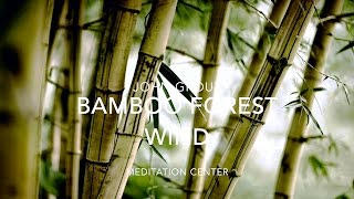 NATURE SOUNDS: Relaxing Nature Sound Of Bamboo In The Wind (No Music)