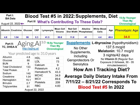 Blood Test #5 in 2022: Supplements, Diet