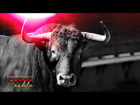 𝙋𝙊𝙍𝙍𝙊 𝘾𝘼𝙉𝘿𝙀𝙇𝘼 - 𝙱𝚊𝚗𝚍𝚊 𝟸𝟼 𝚍𝚎 𝙰𝚋𝚛𝚒𝚕 🐂