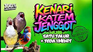 Download lagu MASTERAN BURUNG SATU JALUR NEMBAK TAJAM BESETAN KASAR  DENGAN JEDA 1 MENIT! mp3