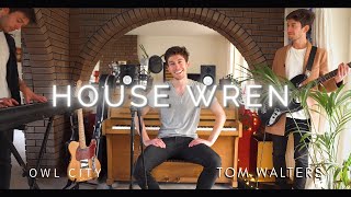 House Wren - Owl City - Tom Walters Cover