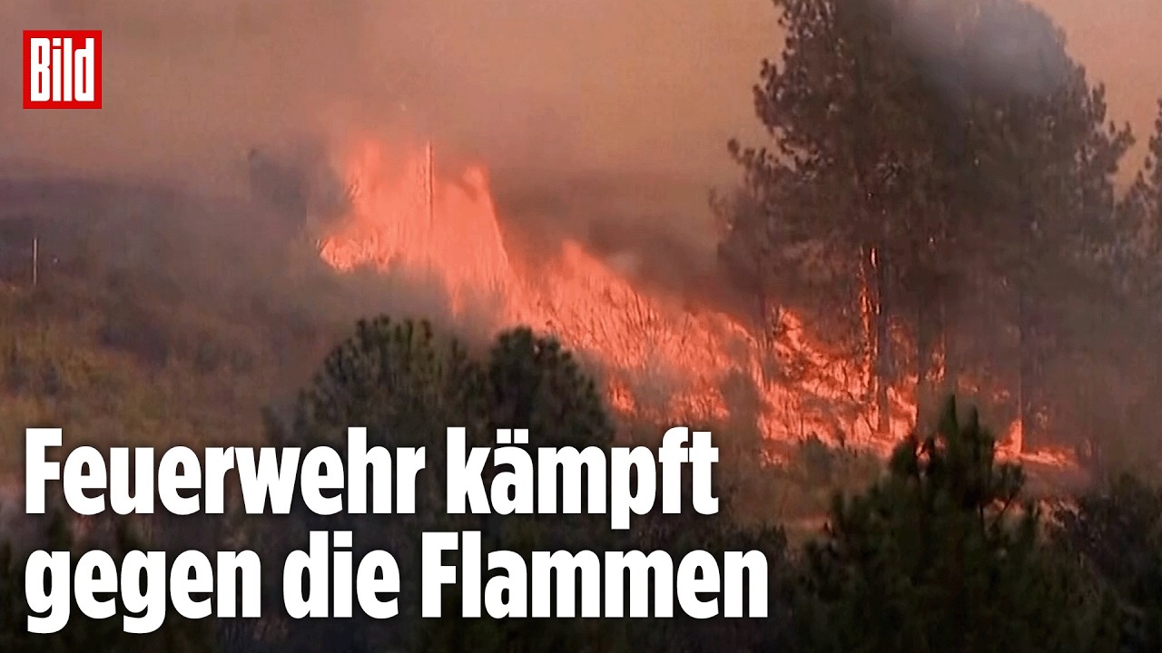 WASHINGTON IM AUSNAHMEZUSTAND: Waldbrände zerstören ganze Wohngebiete