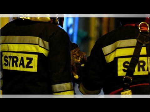 Kędzierzyn-Koźle: pożar w zakładach chemicznych