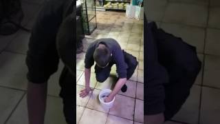 baby electric eel, shock test