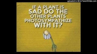 Sad Plant Song
