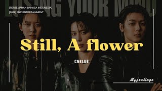 Download lagu CNBLUE - STILL, A FLOWER Lirik dan terjemahan Rom/IndoSub mp3