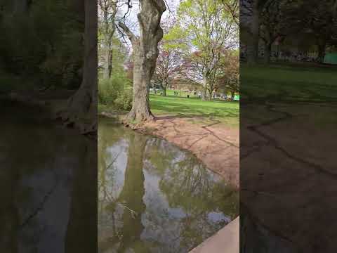 2025.04.25 What's at War Memorial Park?