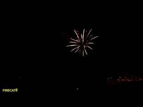 Sky Bacon - The Great Bambino