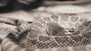 Ana Luisa Bracht, veraneante - 11/01/2017