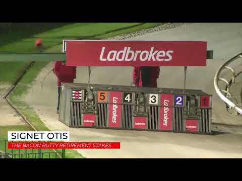 Signet Otis - THE BACON BUTTY RETIREMENT STAKES