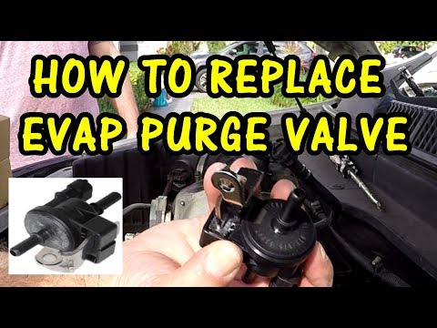 HOW TO REPLACE EVAP PURGE VALVE SOLENOID | 2008 SATURN VUE XR 3.6