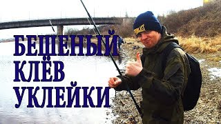 Рыбалка на псковском озере 2020 базы