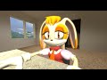 SFM Vanilla Cream