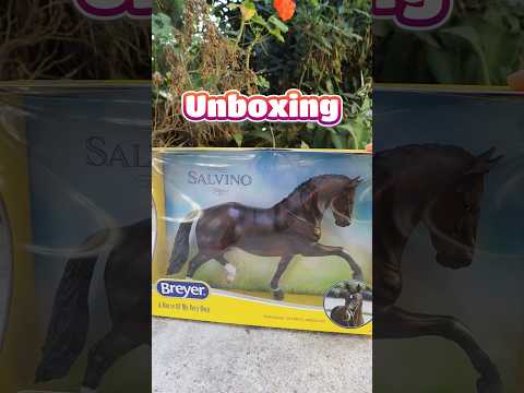 BREYER SALVINO