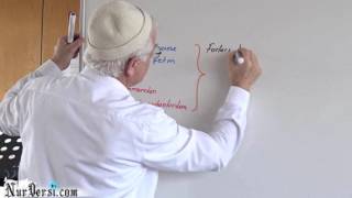 Dimağı Beslemek - YOZGATNUR