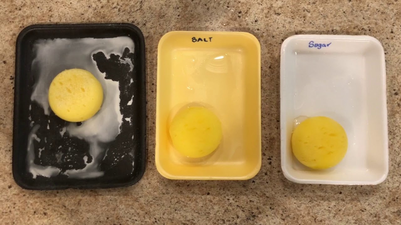 No Bones About It - Lesson 3