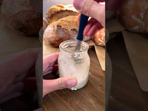 HOW TO MAKE SOURDOUGH? The definitive guide 🥖🔥