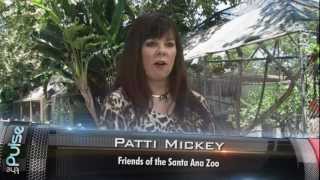 THE PULSE - Patti Mickey, Friends of the Santa Ana Zoo