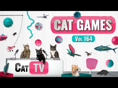 CAT Games | Ultimate Cat TV Compilation Vol 164 | 8 HOURS  🐝🐞🦋🦎🦜🐜🐭🧵